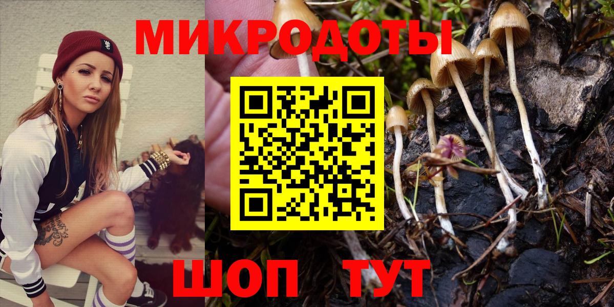 Галлюциногенные грибы Psilocybine cubensis Приморско-Ахтарск