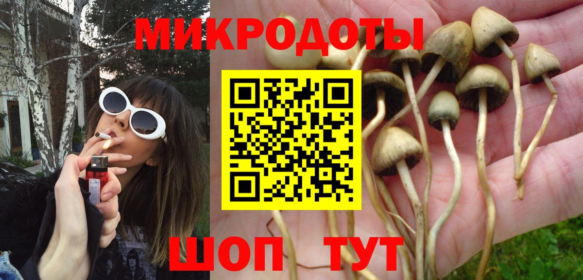 Приморско-Ахтарск  Галлюциногенные грибы прущие грибы  Вход с VPN 